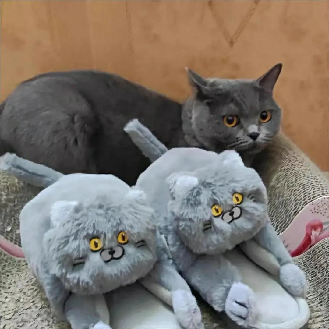 Cuddly Hug Cat Slippers