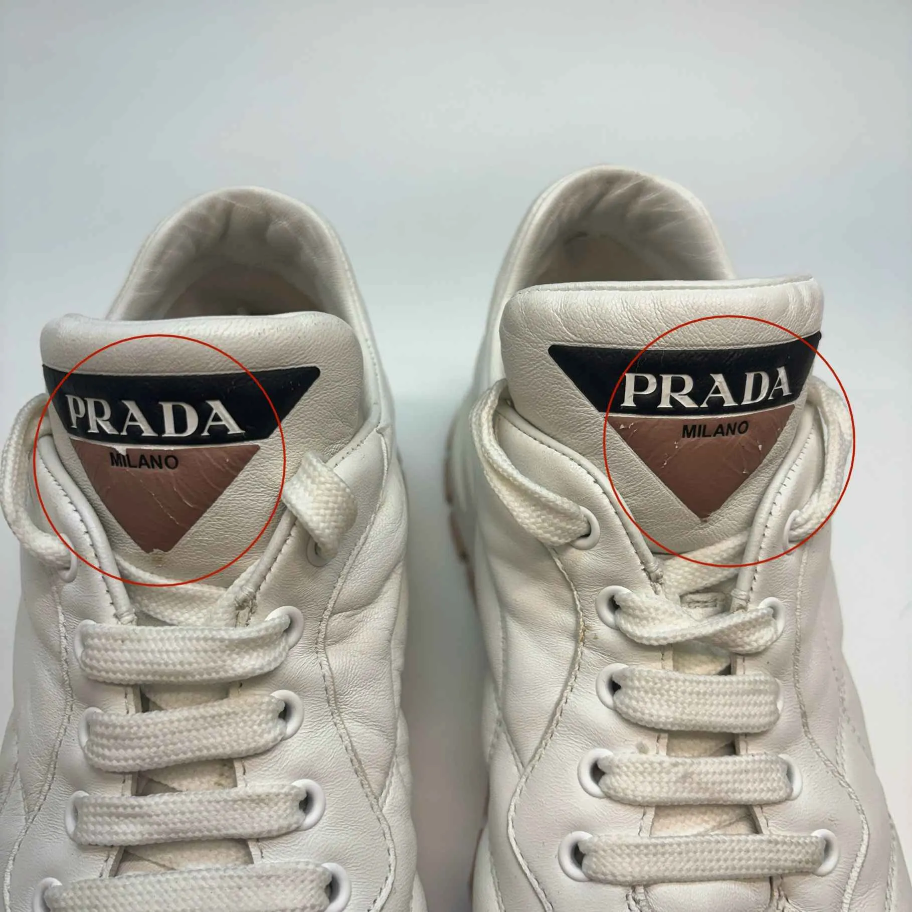 Women's Downtown Low Trainers White Size EU 38 / UK 5